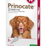 PRINOCATE 250 mg/62.5 mg spot-on sol. for large dogs x3